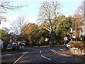 Road junction on Hamlet Road, Anerley