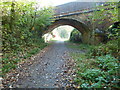 Bridge carrying Horebeech Lane over the Cuckoo Trail