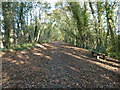 The Cuckoo Trail climbing NE out of Horam