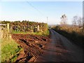 Culbane Road, Ballynease