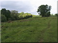 Footpath to Manor farm