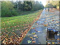 The old dockside at Russia Dock Woodland