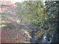 Wooded valley at Darnhall Bridge