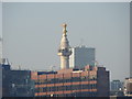 View of the Monument from the South Bank