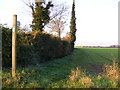 Footpath to the B1117 & Neaves Road