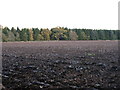 Field and woods north-west of Innercraigie