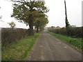 The road to Lea Hall & Farm