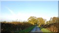 Marston Lane Towards Enson Lane