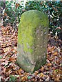 Boundary stone at Rainworth (close-up)