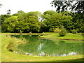 Fishing lake near Duncton Mill