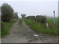 Farm track near Tollerton