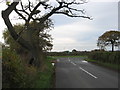 Junction of the A530 Nantwich Road with the lane to Occlestone Green