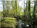 The Full Brook near Old Court