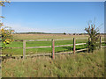 TL6555 : Stud farm field by Hugh Venables