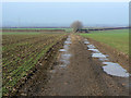 SK7030 : Farm track at Kinoulton Grange Farm by Alan Murray-Rust