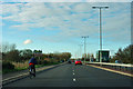 Cyclist, Lottbridge Drove