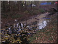 Dollis Brook going under Waverley Grove bridge