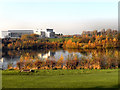 Gorton Upper Reservoir and Wright Robinson Sports College