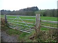 SE9993 : Gate into field, Lindhead Road by Christine Johnstone