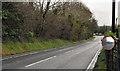 J4377 : The Ballymiscaw Road, Craigantlet (4) by Albert Bridge