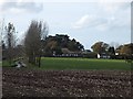 Approach to farm and poultry hatchery lined by newly planted trees