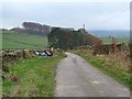 Farm road to Sillywrea Farm