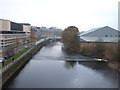 River Wear, Durham