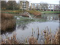 Pond, Van Mildert College