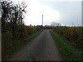 NZ3040 : Lane towards Whitwell House Farm by JThomas