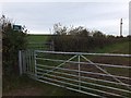 Footpath near Kelland Cross