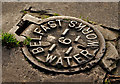 J3368 : Belfast Water Works cover, Belvoir, Belfast (1) by Albert Bridge