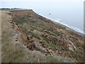 TM2623 : Walton on the Naze: cliff erosion at The Naze by Chris Downer