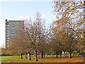 Trees in Southwark Park