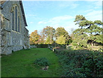 TQ4114 : St Mary the Virgin, Barcombe: churchyard (VI) by Basher Eyre
