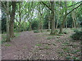 Path on Woodlands Hill