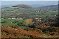 Autumn trees below Scarth Nick