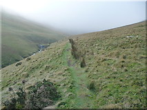 SO0222 : Path towards the waterfall in Cwm Sere by Jeremy Bolwell