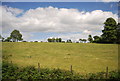 Farmland by the A21 near Key