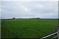 SY1588 : East Devon : Grassy Field by Lewis Clarke