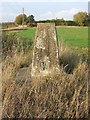 Trig Point