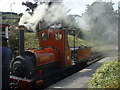 "Covertcoat" at Launceston Steam Railway Cornwall