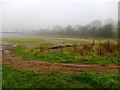 Foggy Football Pitches