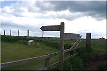 NU2231 : Northumberland Coastal Path signpost, North Sunderland Point by N Chadwick