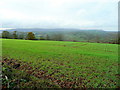 View to the Black Mountains