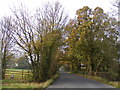 Southolt Road, Worlingworth