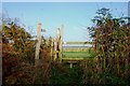 Footpath to Hilderstone