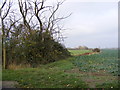 TM2068 : Footpath to Southolt Road, Athelington by Geographer