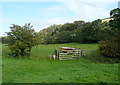 Boat at Castleton