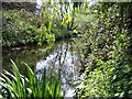 Yeading Brook, Ruislip Gardens