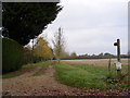 Footpath to Cranley Farm & entrance to Fuffolk Farm